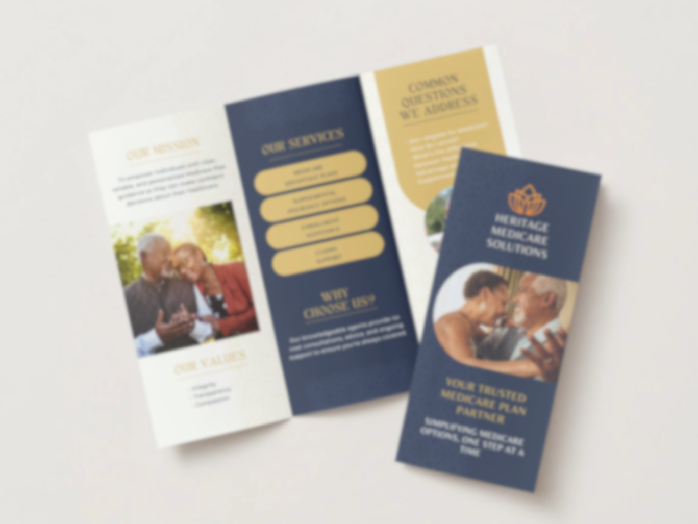 About the Agency Trifold English