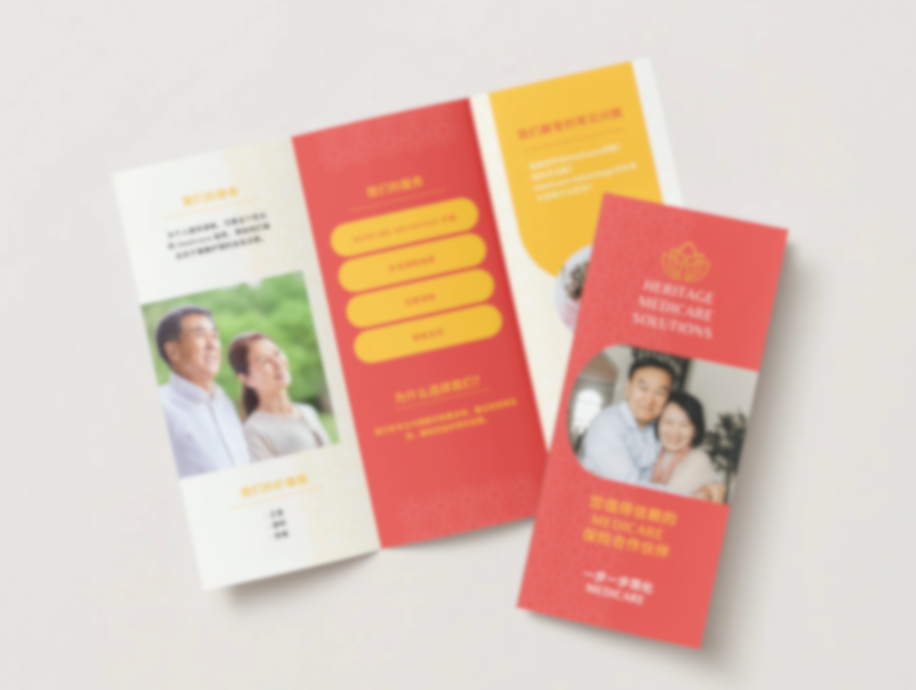 About the Agency Trifold - Mandarin