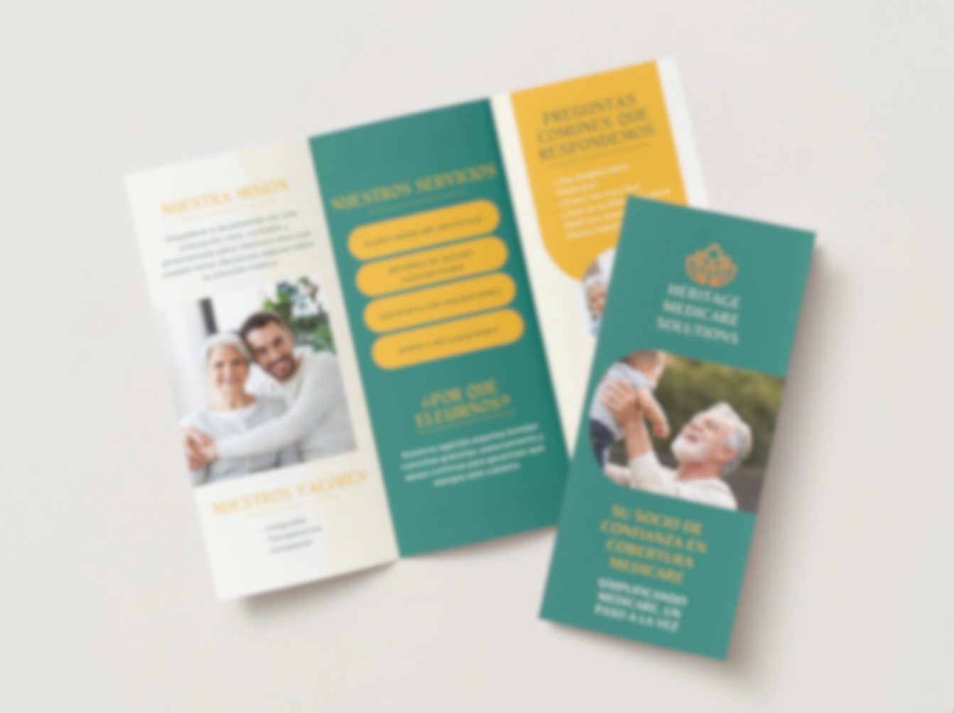 About the Agency Trifold - Spanish